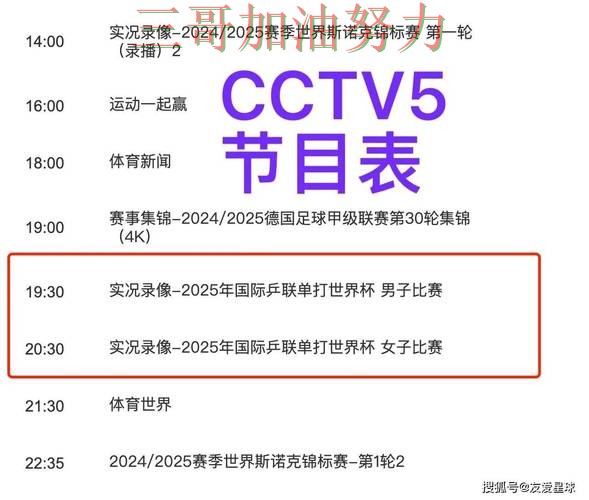 世界杯买球平台深度评测：聚焦官网直达与赛事直播体验 - 世界杯高清直播